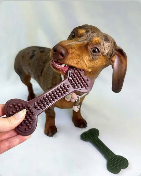 Vegan Dog Chews -  the Maks Patch 'BumpiBone'