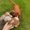 two dogs looking up to Betsie Cow eco dog toy