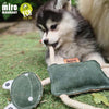 Eco dog toys - dog chewing Freddie frog's arm