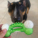 human hand holding minty bone in front of dog