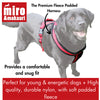 Miro & Makauri Premium Fleece Padded Dog Harness