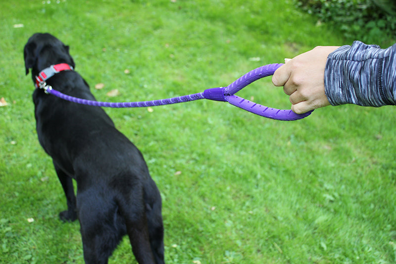 Miro & Makauri RUBBER HANDLED GRIP Rope Dog Leads with Trigger Hook