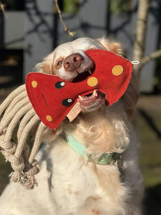 Eco Dog Toys By Miro & Makauri - Scottie Squid