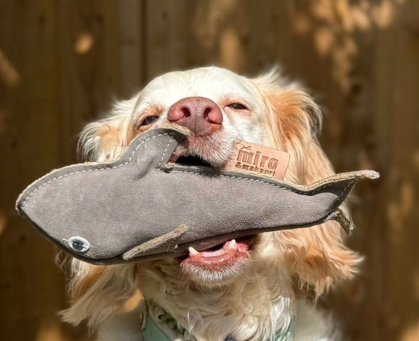 Eco Dog Toys By Miro & Makauri - Sidney Shark