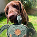 dog biting TARA TURTLE Eco dog toy