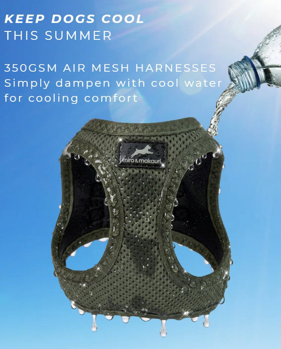Step-in Air Mesh Dog Harness (8 Colours).  Up to 20% off Available.