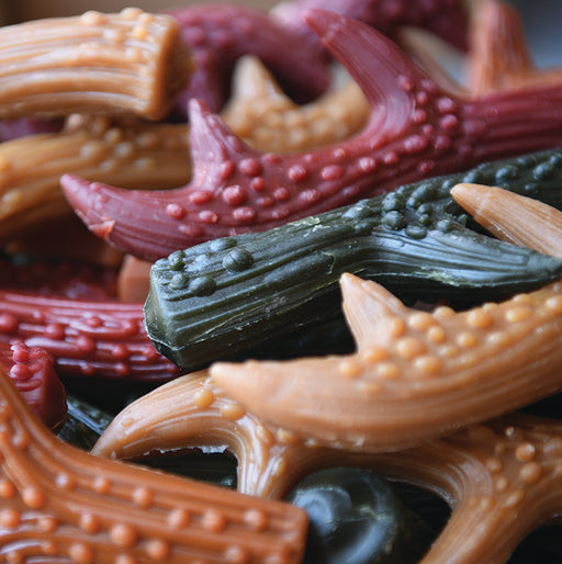 Natural Mixed Flavour Antlers - Large Vegan Dog Chew