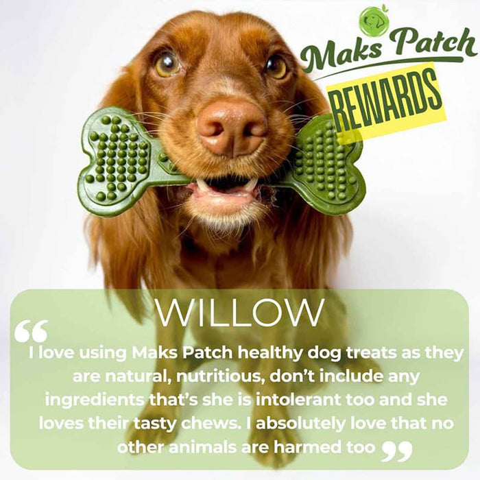 Vegan Dog Chews -  the Maks Patch 'BumpiBone'