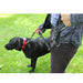 dog walker using Bungee Dog Lead with Traffic Grip  - Miro & Makauri Anti Shock 115cm