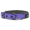 Miro & Makauri Padded Nylon Collar with Buckle Purple