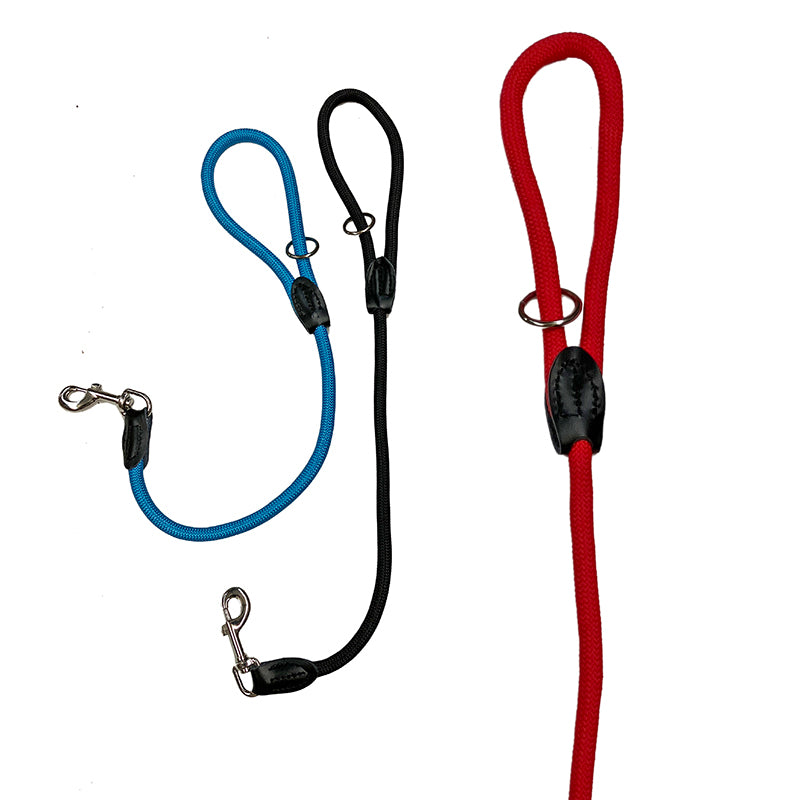 Short strong dog sales leads