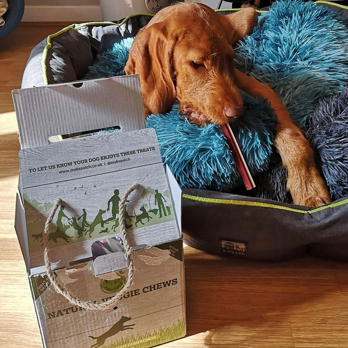 Variety box of MaksPatch veggie dog treats and dog eating star stick veggie dog treat
