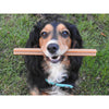Vegan Dog Treats - Fruit & Veg Star Sticks with added Coconut Oil. 2 sizes. (dog eating)