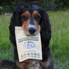 dog holding in mouth packet of MaksPatch Reward Coins - vegan dog treats