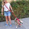 Miro & Makauri 3 point Double Ended Walking/Training Dog Lead