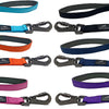 Miro & Makauri Carabiner Nylon Dog Lead