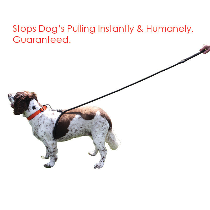 Easy shop lead collar