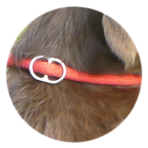 metal adjuster for fig of 8 on rope leads on dog neck