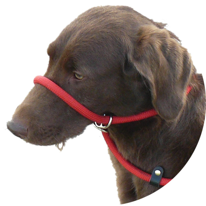 RUBBER HANDLE GRIP - Slip Lead with Figure 8 Training Aid. - Miro&Makauri