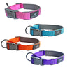 Neoprene Padded Nylon Clasp Collar - Turquoise, Pink, Orange, Purple - Miro&Makauri