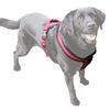 Premium Fleece Padded Harness - Miro&Makauri