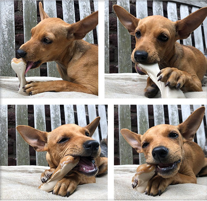 small dog eating Maks Patch Peanut Butter Dual Bone - vegan dog treats