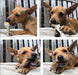 small dog eating Maks Patch Peanut Butter Dual Bone - vegan dog treats