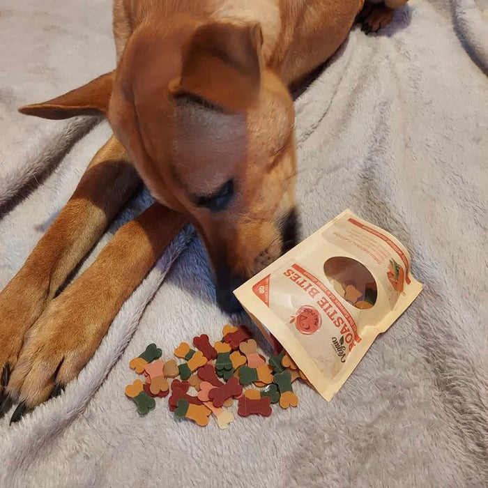 Vegan Dog Training Treats - Maks Patch Roastie Bites. 80 bone shaped dog snacks for training and reward.