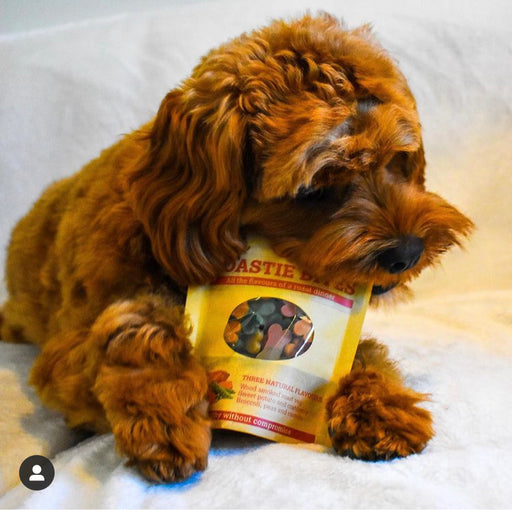 dog with packet of Roasti Bites vegan dog treats