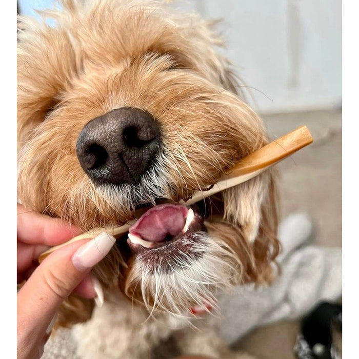  Fruit & Veg Straws with added Coconut Oil Dog Treats
