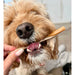  Fruit & Veg Straws with added Coconut Oil Dog Treats