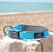 aqua Miro&Makauri oxbow collar (beach background)