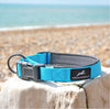 Neoprene Padded Nylon Clasp Collar - Turquoise, Pink, Orange, Purple - Miro&Makauri